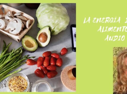 alimentos