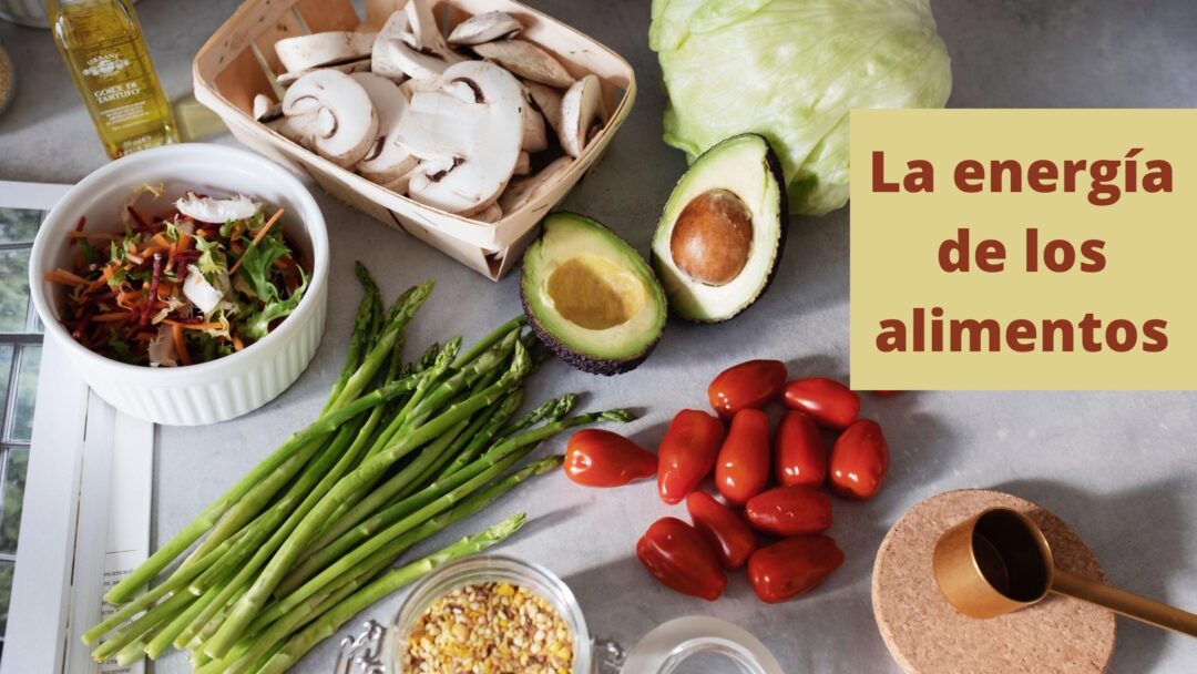 alimentos