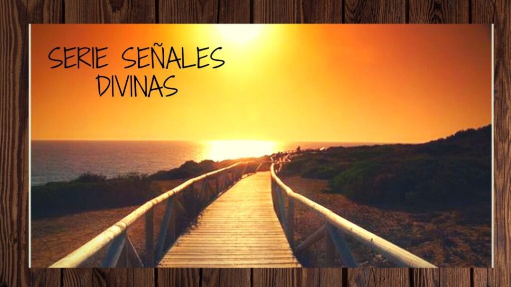 vida más allá de la vida